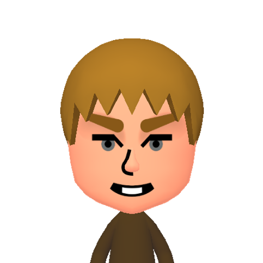 хцчшщъыьэю Mii character: This Mii is from the Switch SDK as a SampleDB Mii.