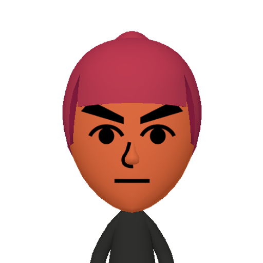 no name Mii character: This Mii is from the Switch SDK as a SampleDB Mii.